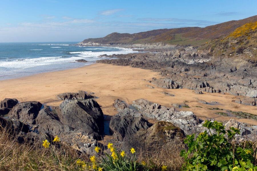 Devon Beaches