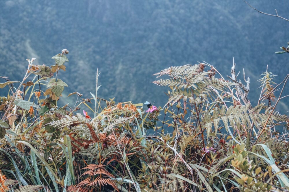 Sri Lanka Horton Plains, Worlds's End.