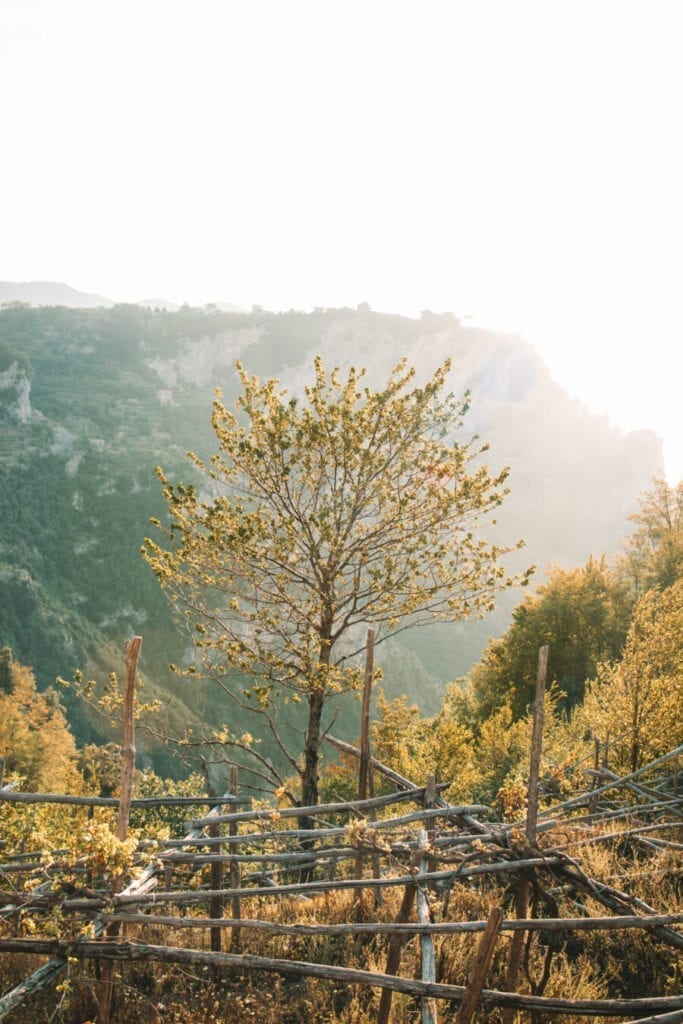 How to hike the Path of the Gods