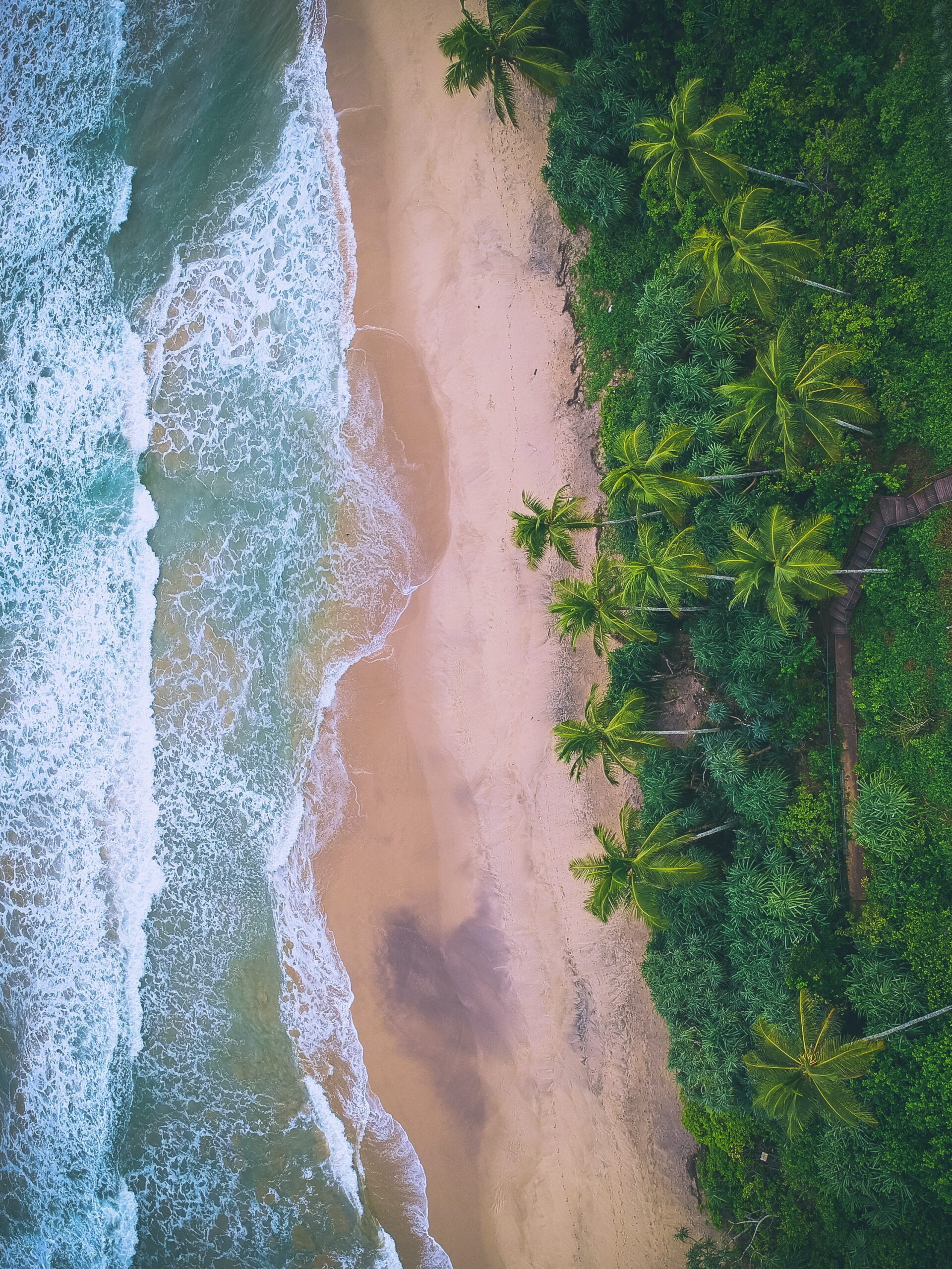 Hidden Paradise: A Guide to Hiriketiya beach, Sri Lanka