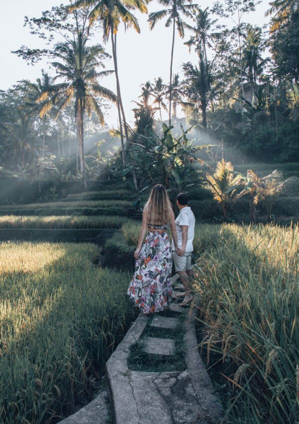 Things to do in Ubud.